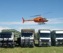 Wildlife translocation